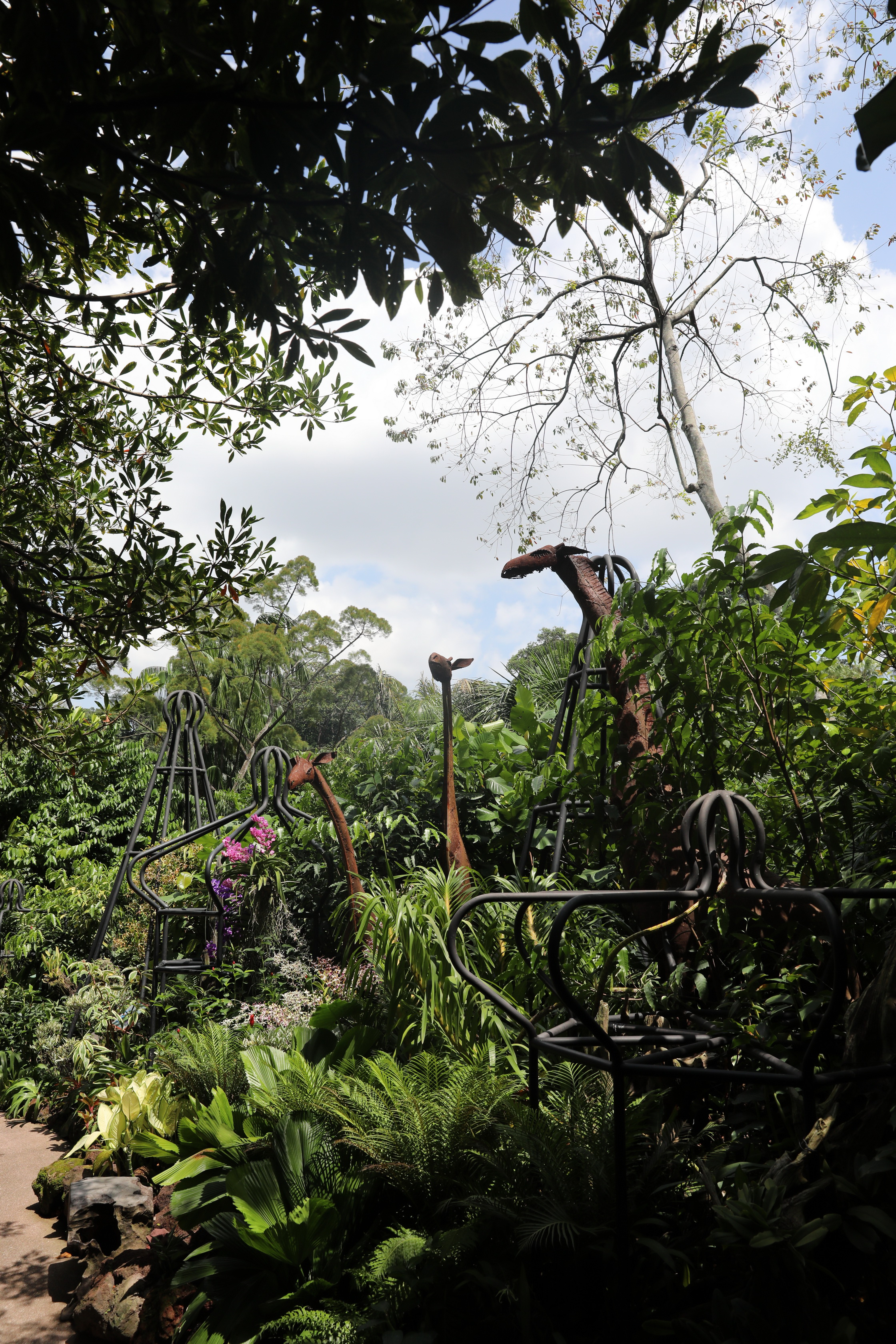 2020 02 03 14 10 58 Canon EOS 5D Mark IV 0022